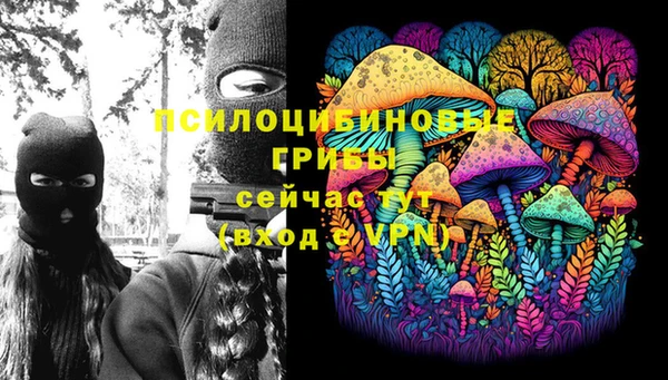 дурь Медногорск