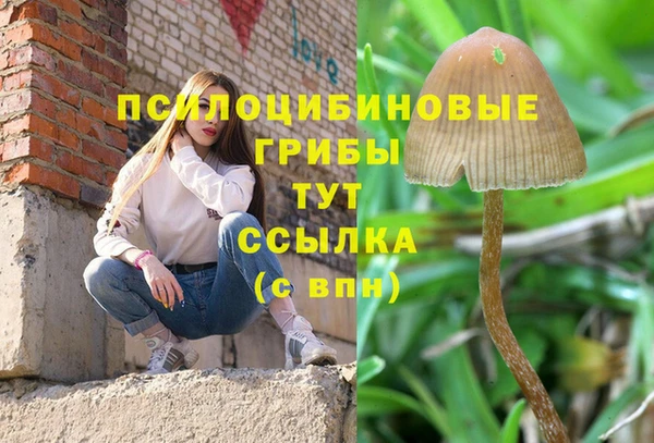 mix Медвежьегорск